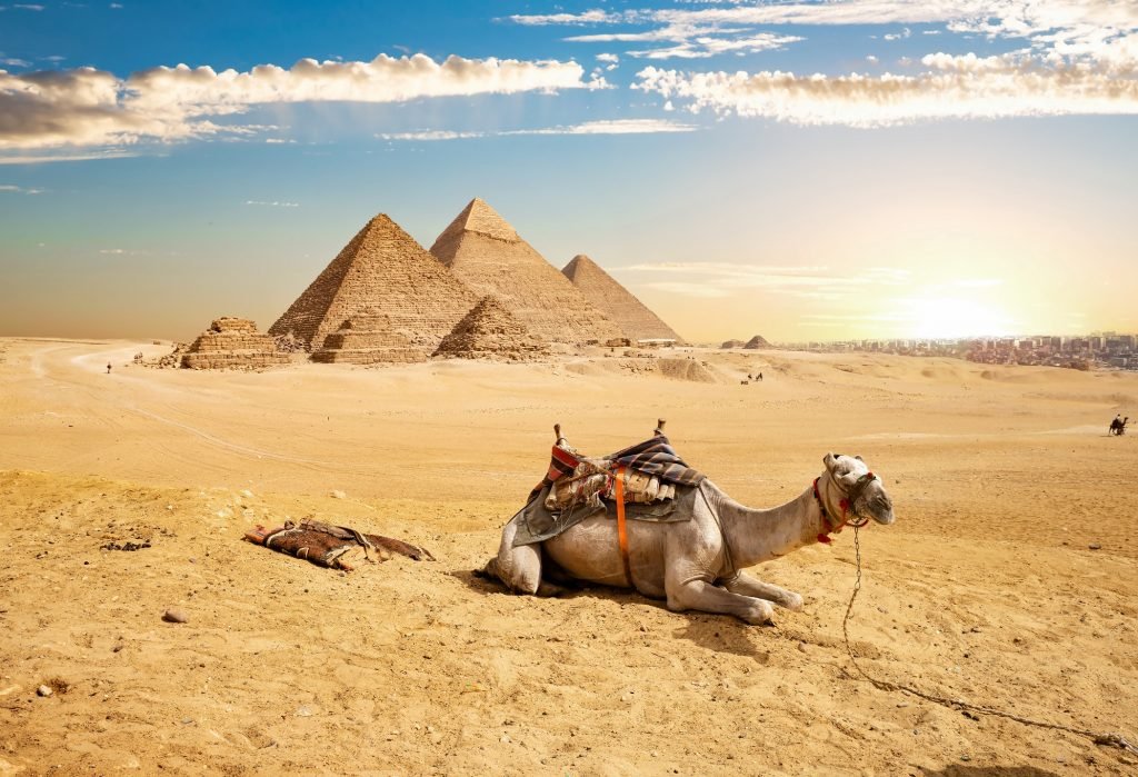 Tour Operator Egitto Vacanze e Viaggi All Inclusive